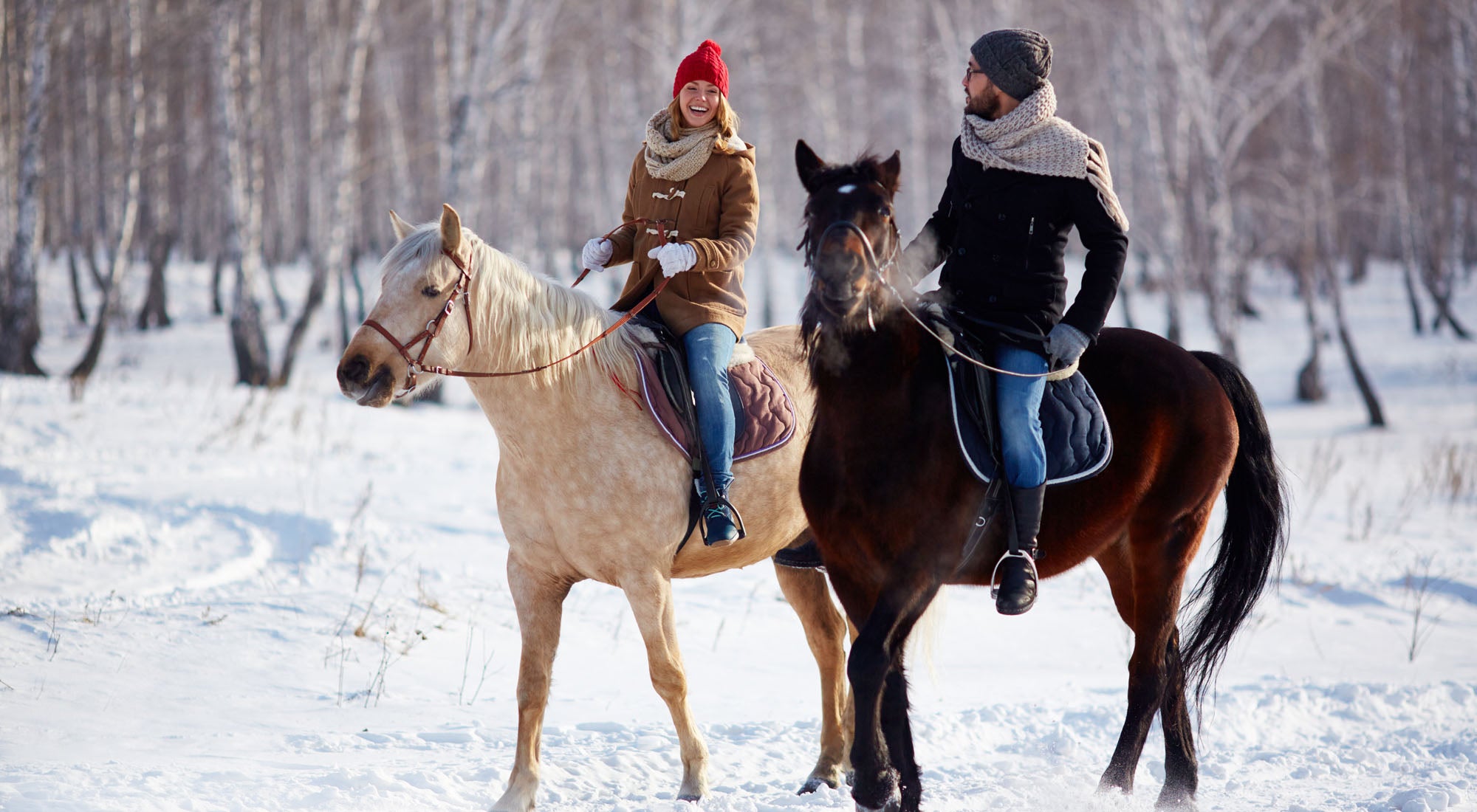 разходка с коне в снега