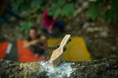 Pongoose image of brushing chalk from rock