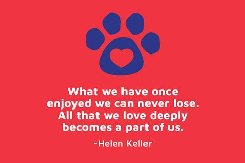 Pet memorial quote