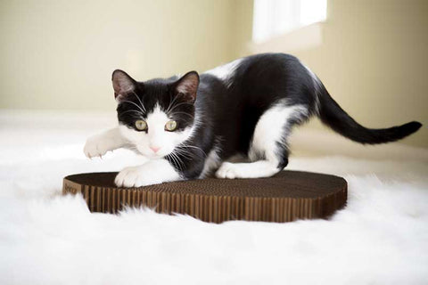 Cat scratching pad