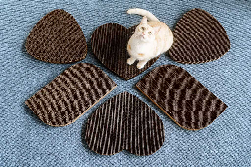 Cat scratcher gifts