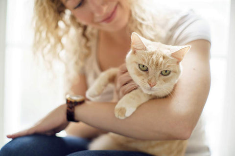 Americat Company founder Diane Danforth holding her cat Bella