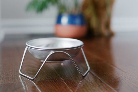 Elevated cat water bowl