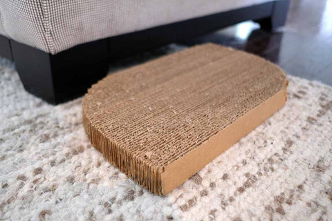 Cat scratching pad next to couch