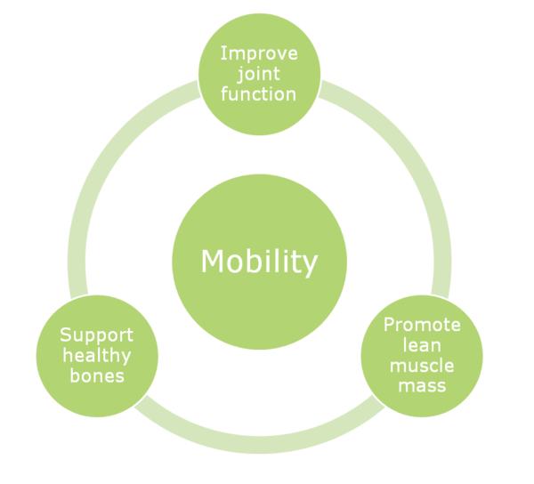 Protein Essentials Mobility Circle