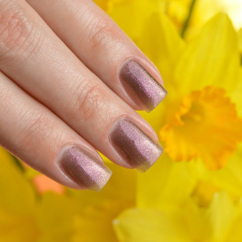 BLUSH Lacquers The Black Swan Nail Polish Swatch in Daffodils