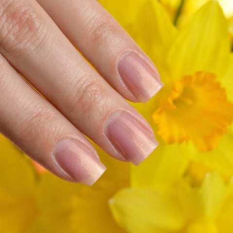 BLUSH Lacquers Tutu In Tulle Nail Polish Swatch in Daffodils