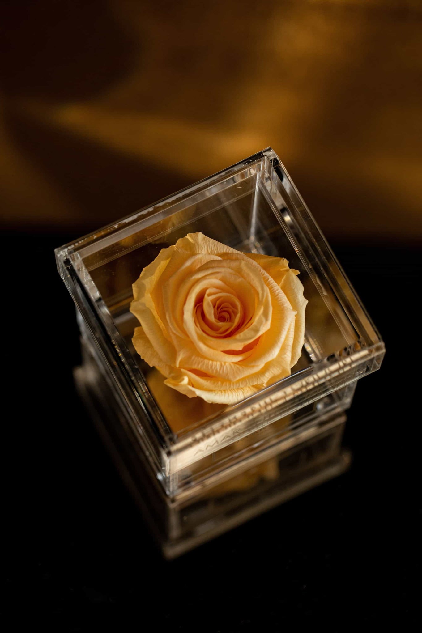 Yellow Eternal Roses in acrylic box