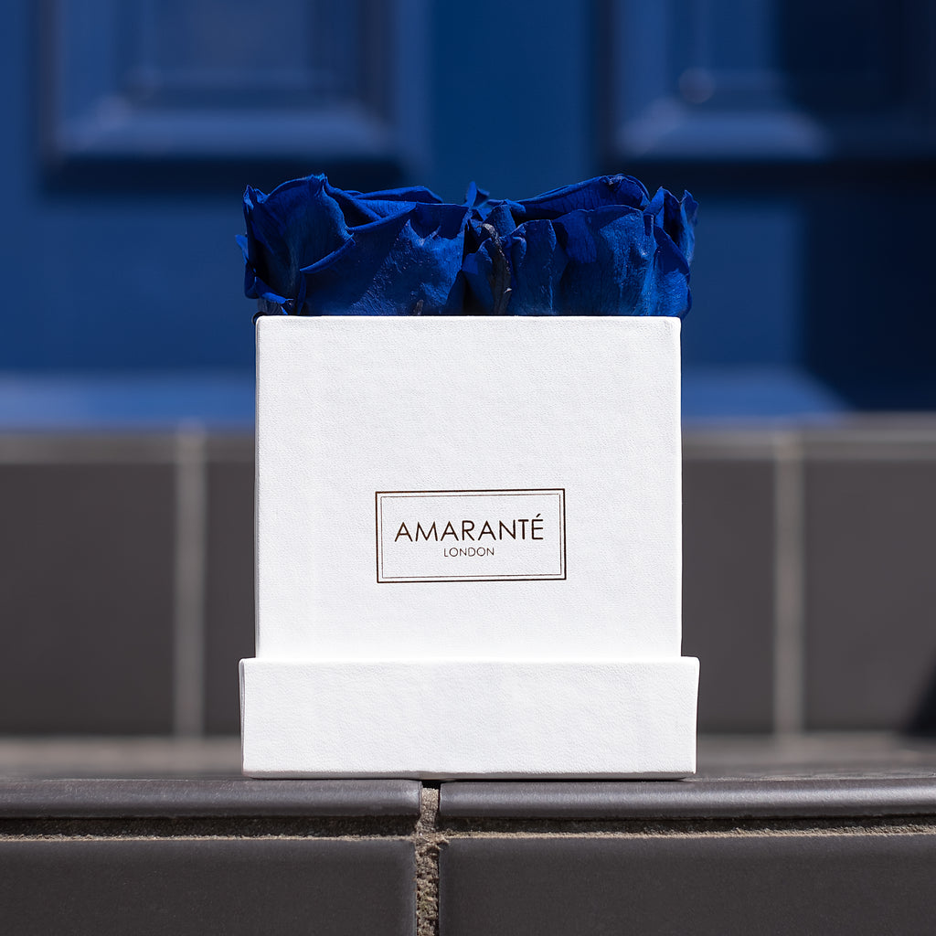  Royal blue roses displayed in a black matte square rose box, available for Same Day Delivery in London by Amaranté