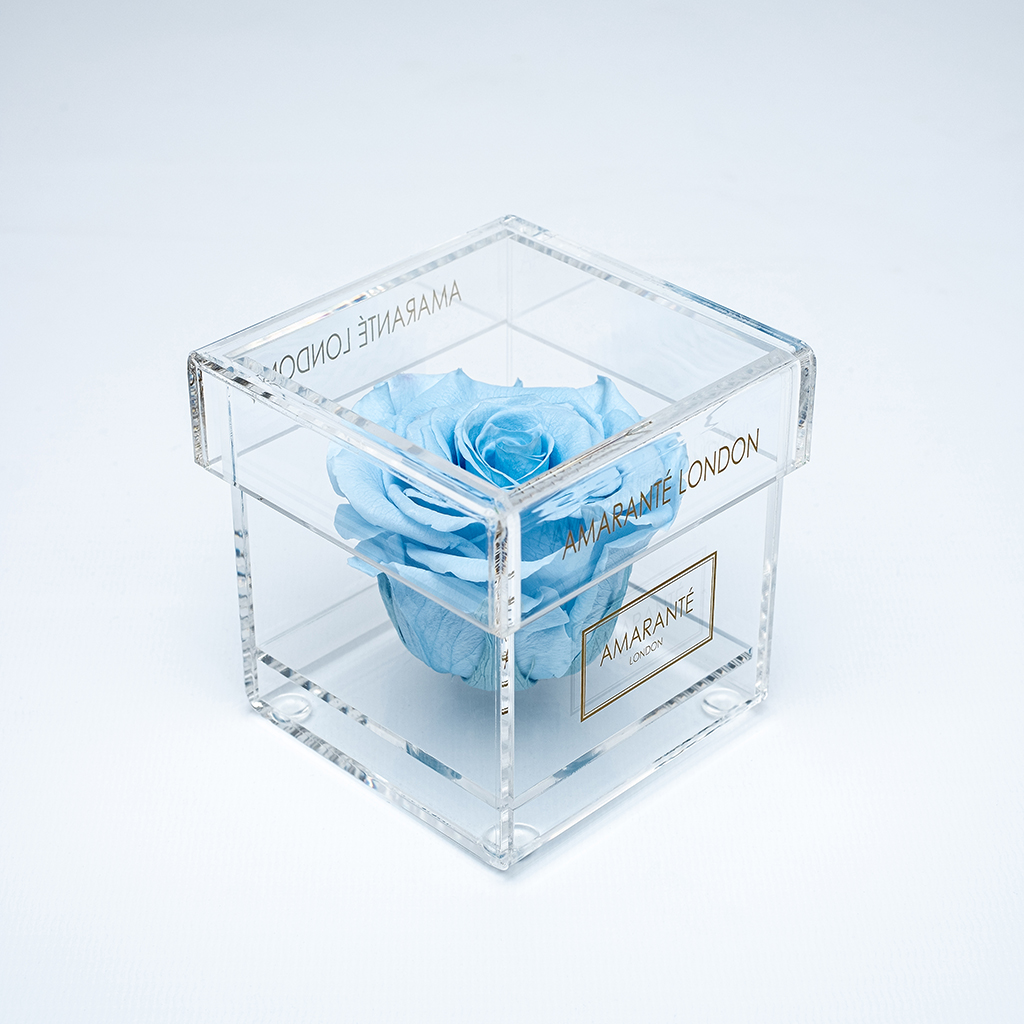 Majestic flower in everlasting rose box