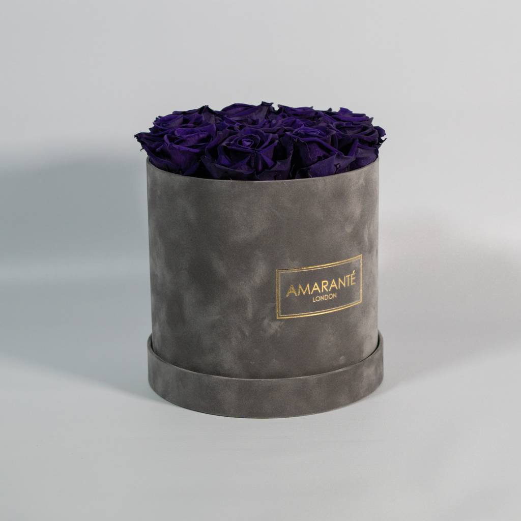 Luxurious purple roses in rose boxes bursting with tranquilising colours