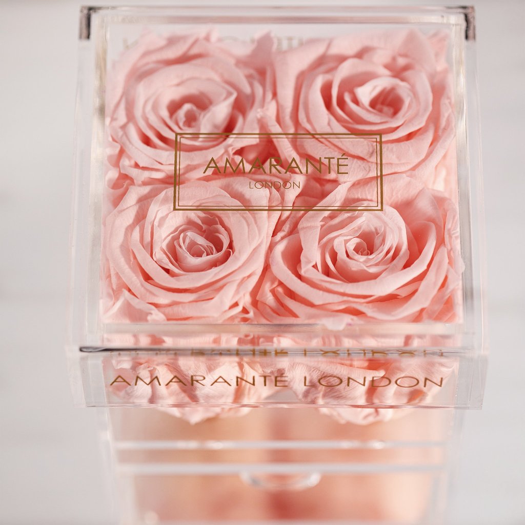 Tender and Beautiful birthday flowers photographed in a small clear box, featuring four blushing Roses