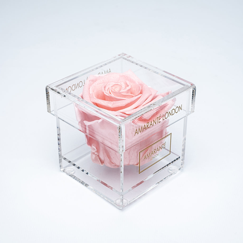 Blushing wedding ceremony flowers displayed in a dapper box