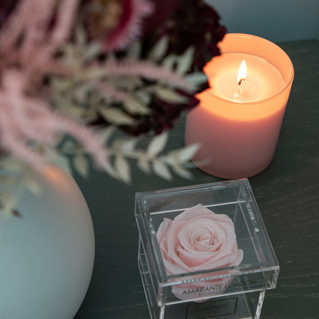 Exquisite Pink Flowers bursting with blushing petals