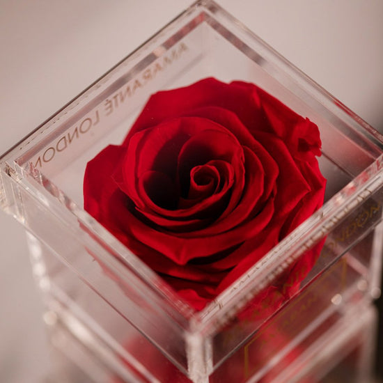 Single red rose in acrylic jewellery box