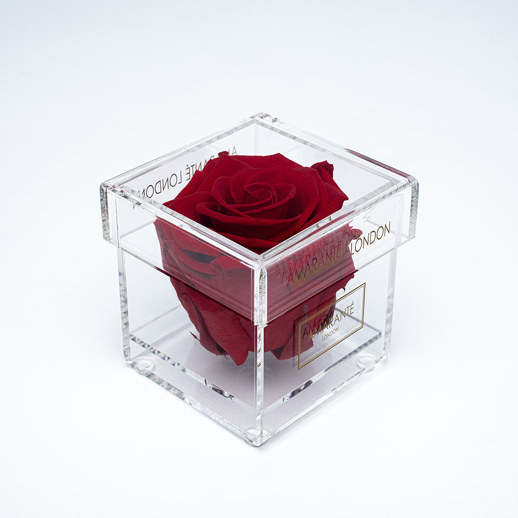 Enchanting Everlasting rose box containing fiery scarlet rose