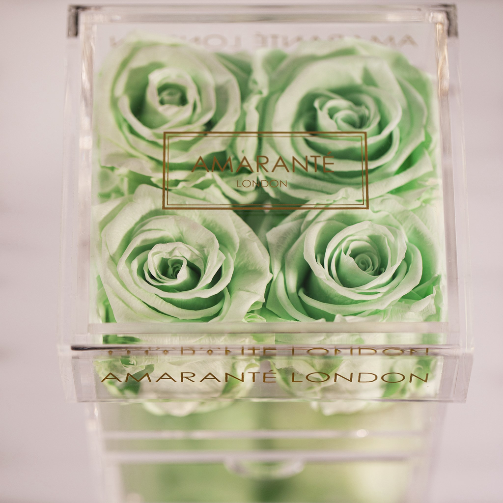 Enchanting Roses in Mint shade of Green accompanied by a box from acrylic with a close up view