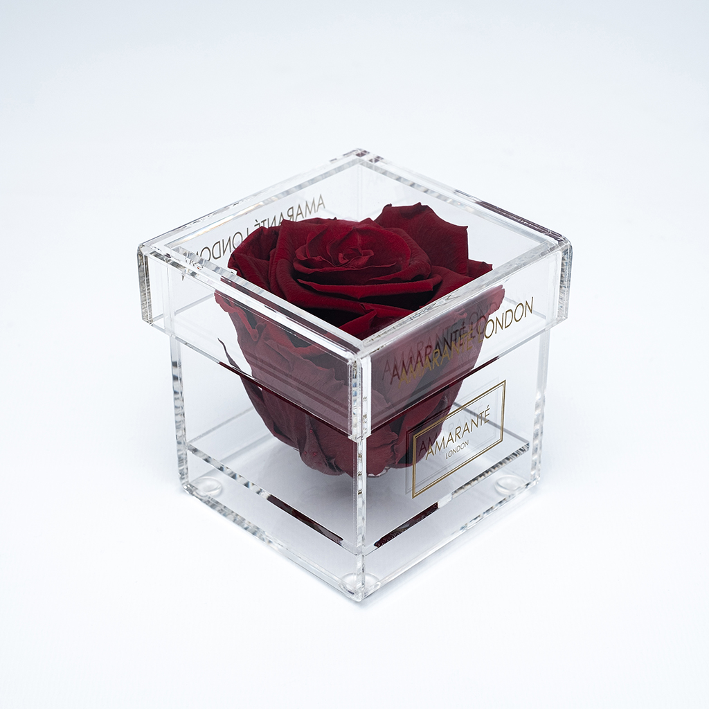 Beautiful everlasting rose box with wine tinted bloom