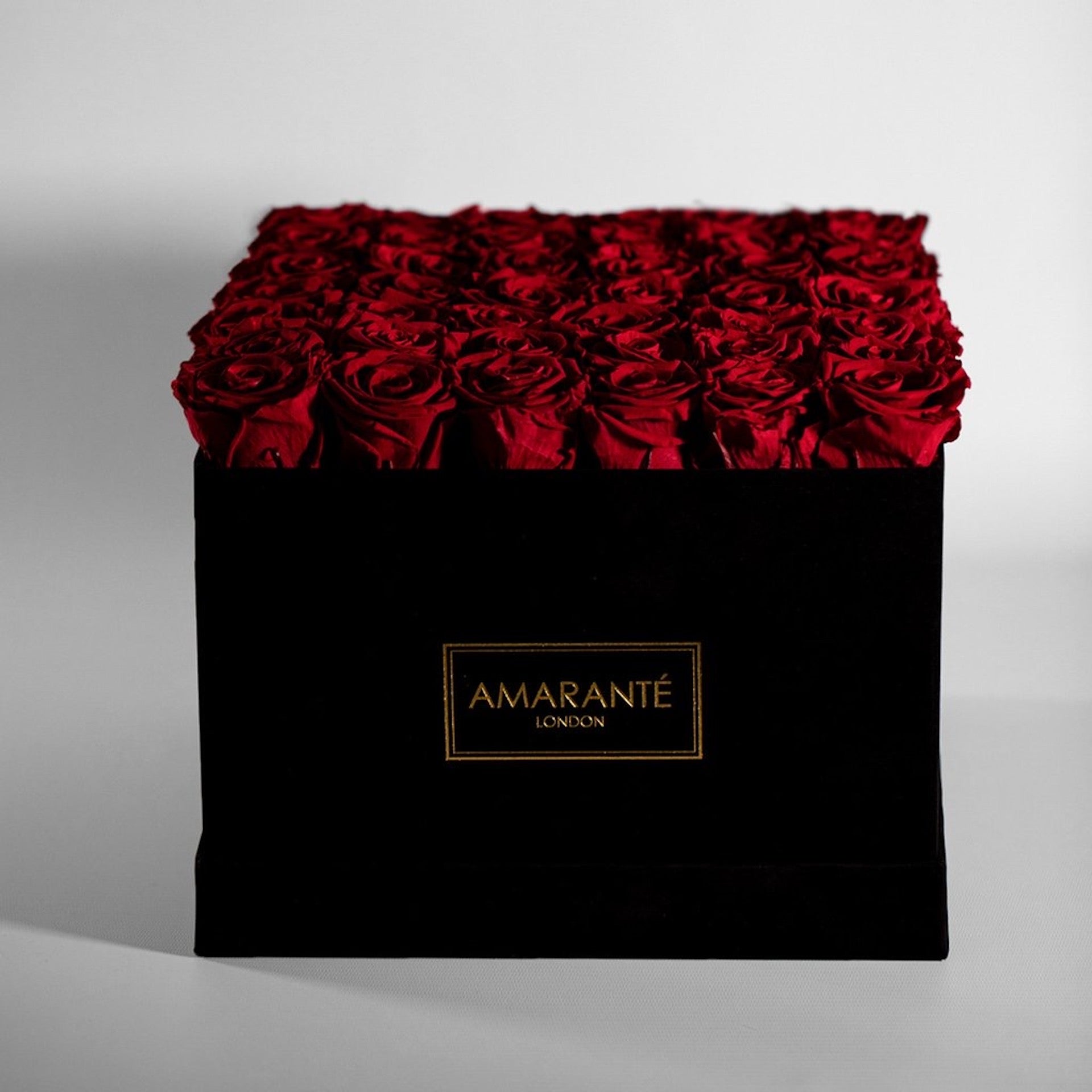 Red eternal roses in a hatbox, large size