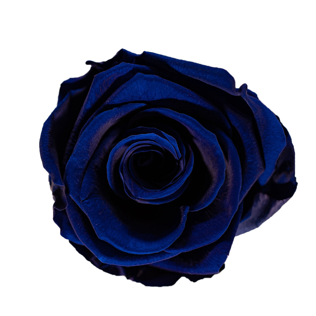 Blue anniversary rose bouquet offered in a variety of sizes