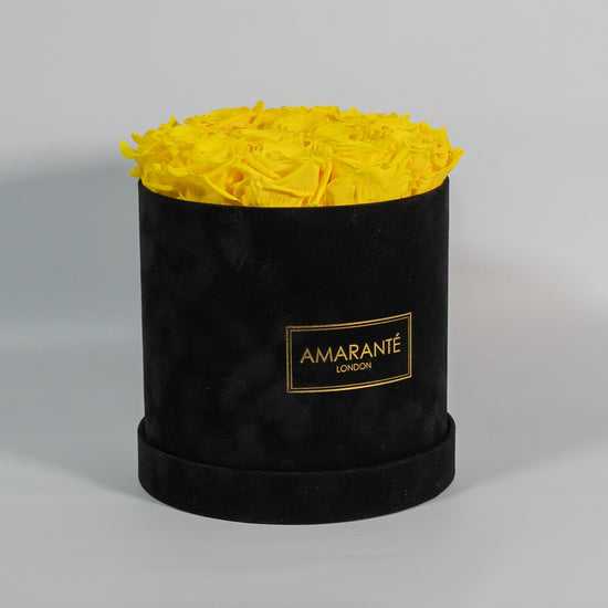 12- 14 bright yellow roses in elegant medium sized round black suede rose box