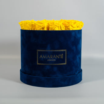 Red Roses in extra large blue suede hatbox