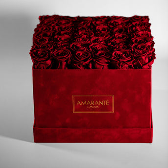 Classic red velvet box in square design