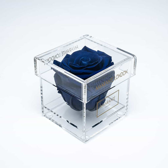 Royal Blue Single infinity rose in jewellery box