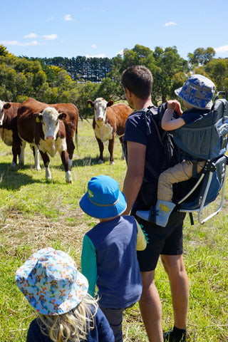 Image of man with boy in Panda toddler carrier, looking at cows and holding the hands of two other children