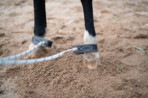 Serving or Breeding Hobbles | Angus Barrett Saddlery