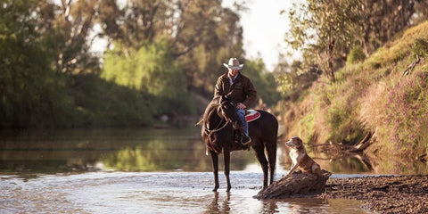 Troy Palmer droving on the Namoi River with his stallion Impressive Destiny and dog Riley