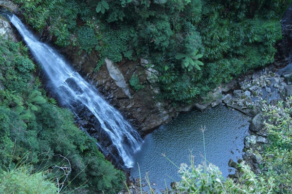 Novapro Sport’s Top 5 Easter Camping Spots in Australia Binna Burra Queensland