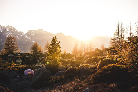 Camping Tents Hiking Tents in Nature Base Camping | Novaprosports