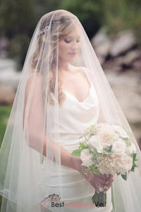 cathedral veil with blusher