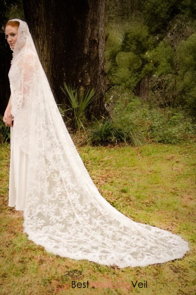 lace wedding dress and veil