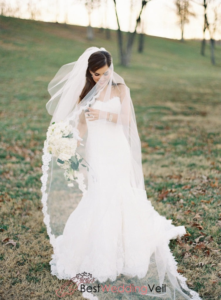 cathedral length veil with blusher