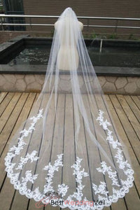 detailed wedding veils