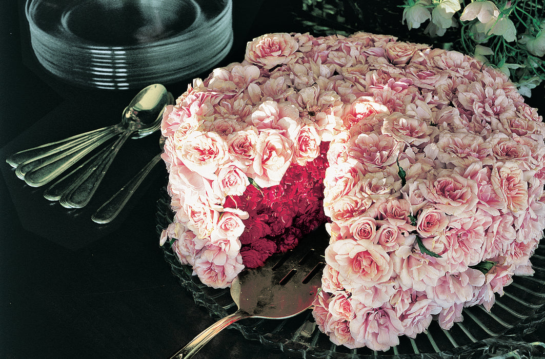 Image of Parfuma Rose on a Cake