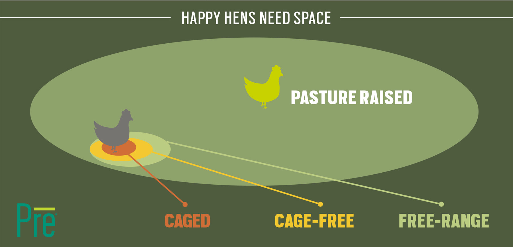 Happy Hens Need Space