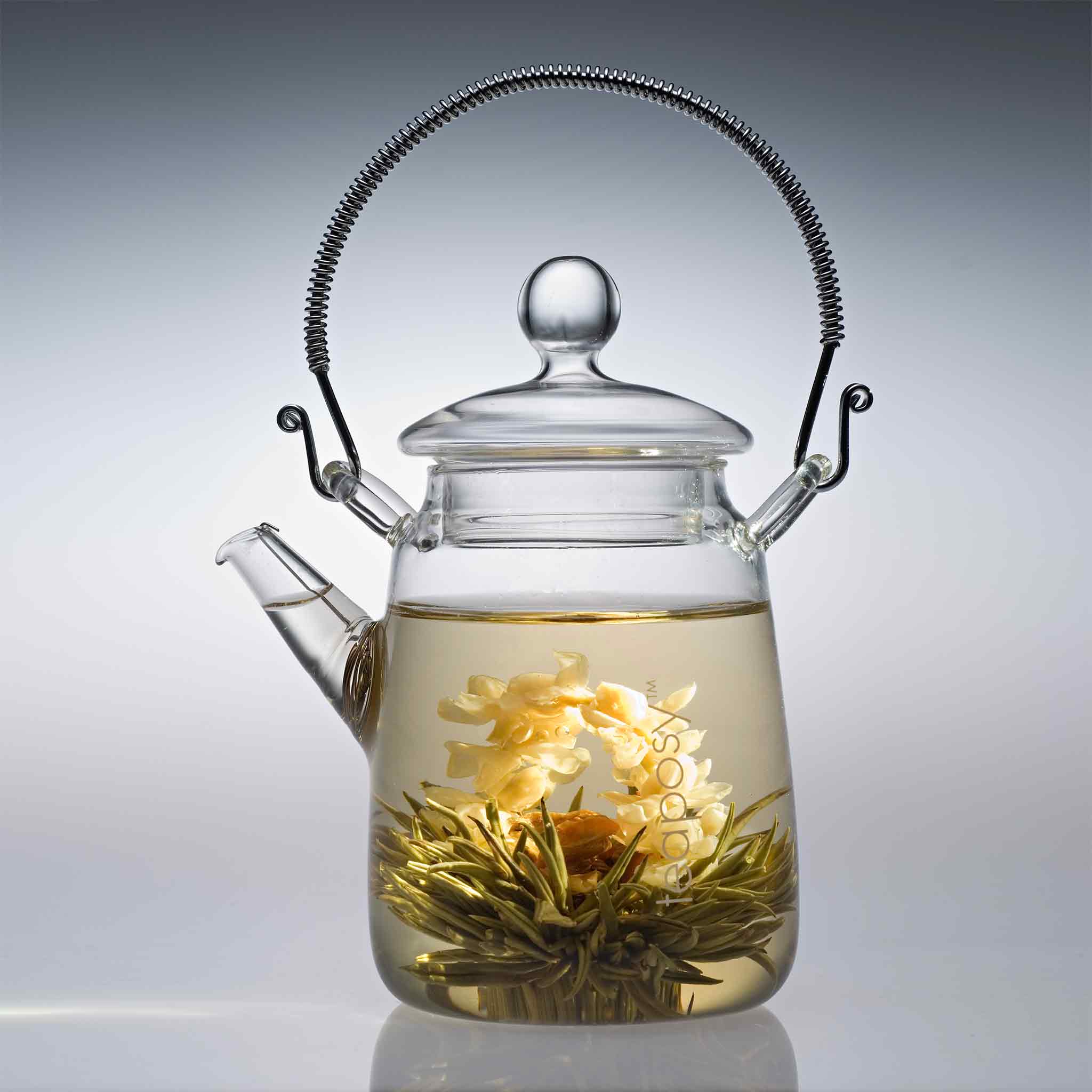 Teaposy Socrates Double Walled Glass Teapot – Vacuum Direct