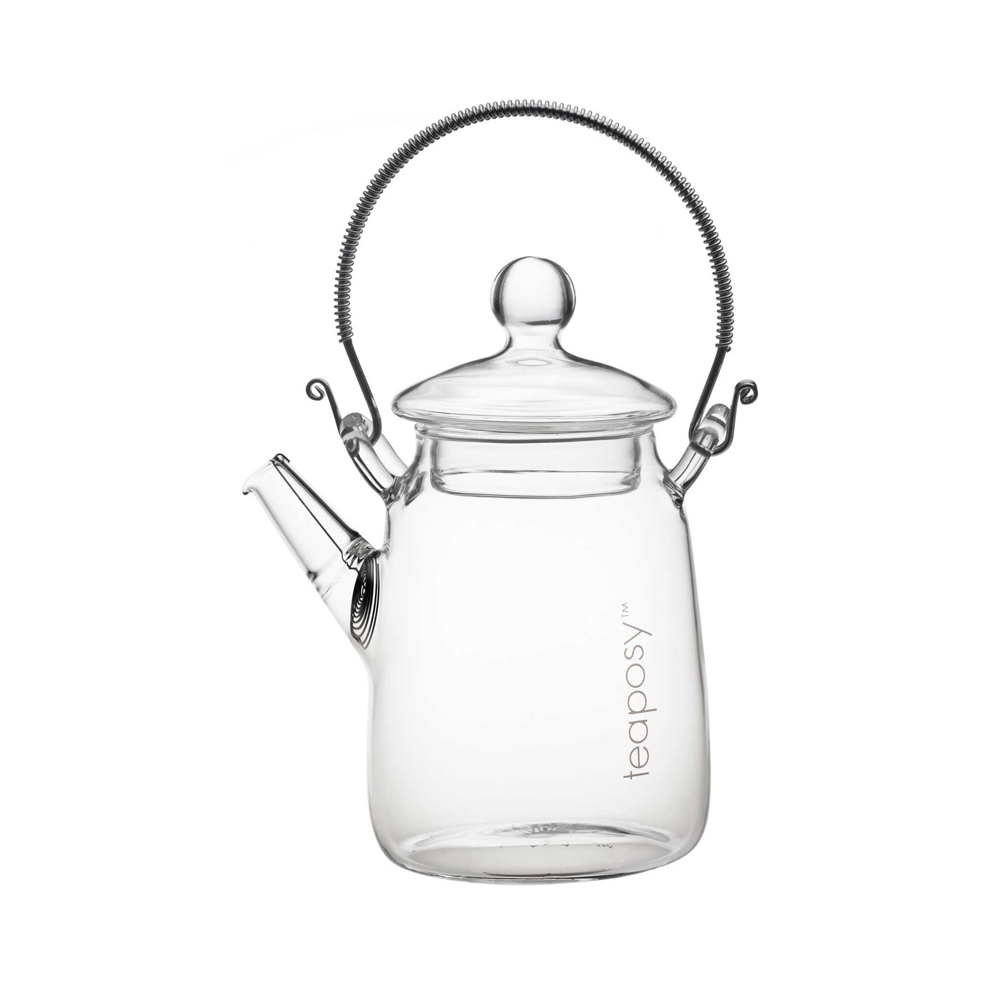 Teaposy Socrates Double Walled Glass Teapot – Vacuum Direct