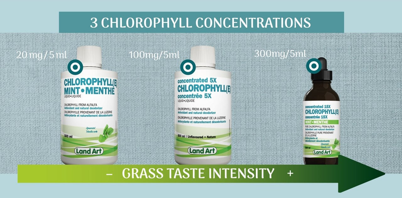 Land Art Chlorophyll Concentrations