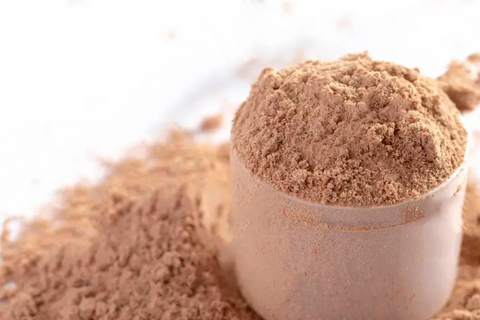 Protein Powder