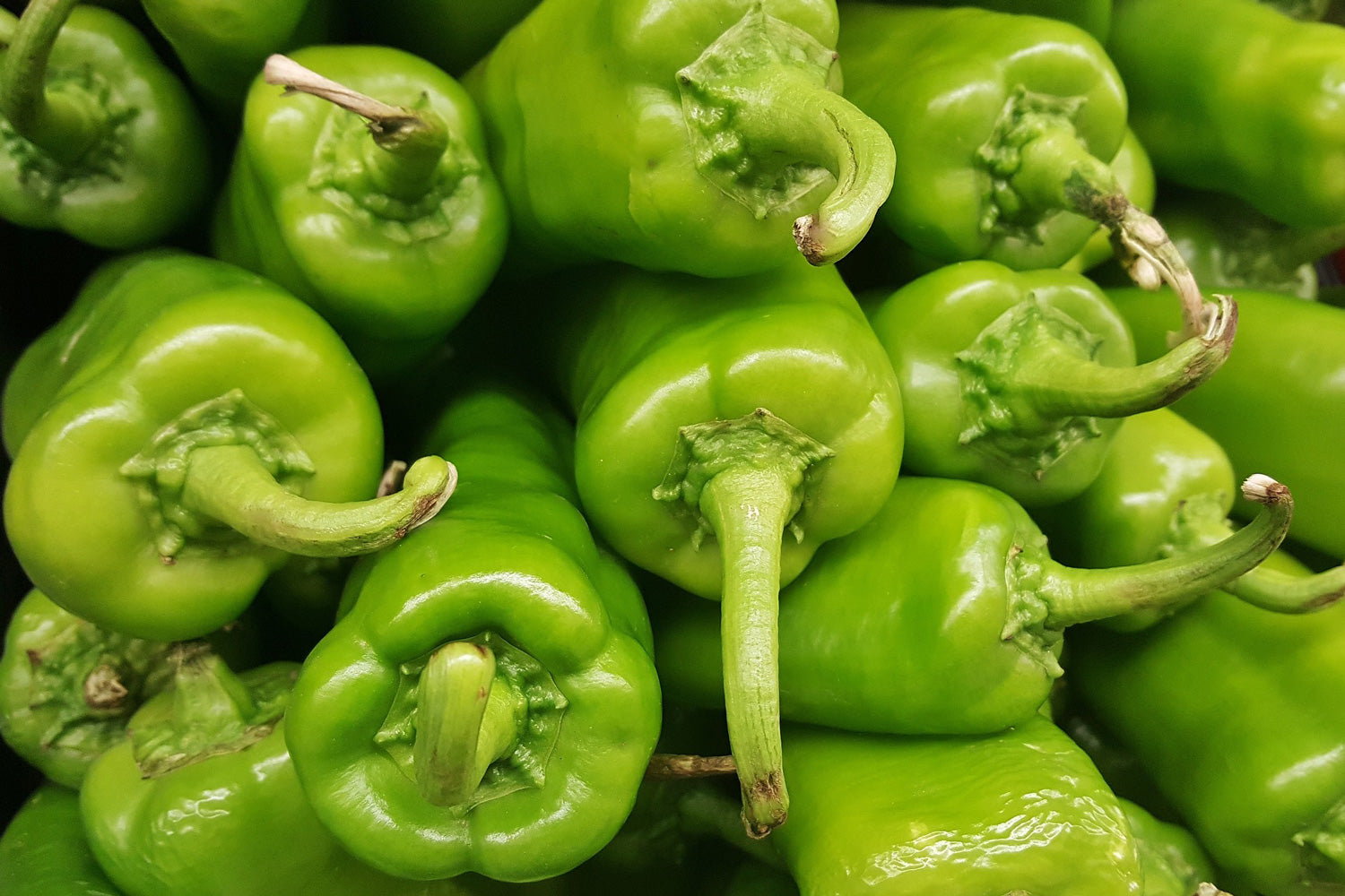 What Is an Anaheim Pepper and How How Are They?