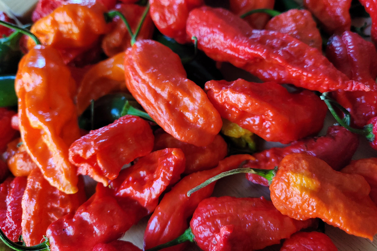 What Is a Ghost Pepper and How Hot Are They?