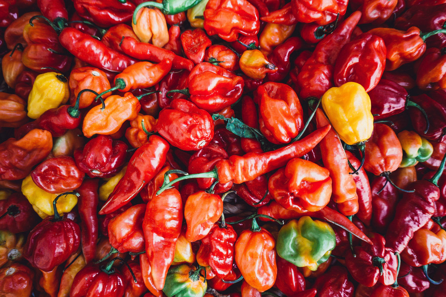The Scoville Scale - A Guide to Hot Peppers