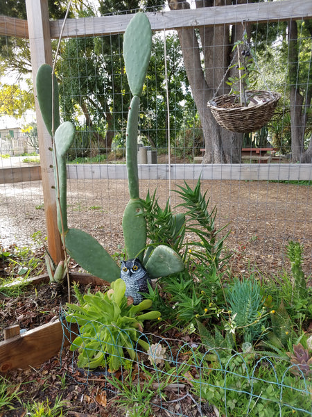 My First House Plant Natalie Cultivates