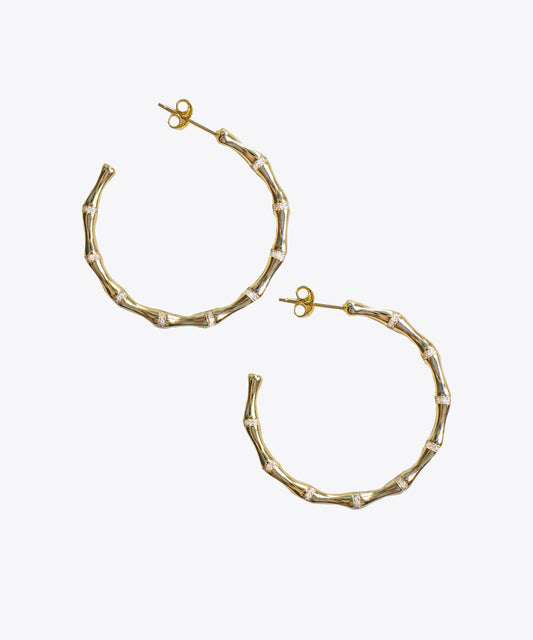 Flower Bamboo Lucite Hoop Earrings