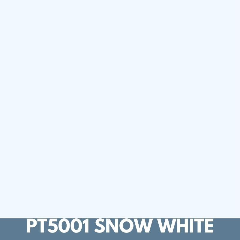 PT5001 Snow White