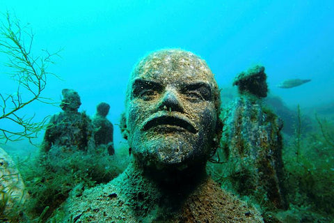 THE MEDITERRANEAN SEA IS A MAGNIFICENT UNDERWATER GARDEN